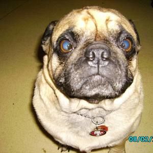 Meet your Posher, Teresa